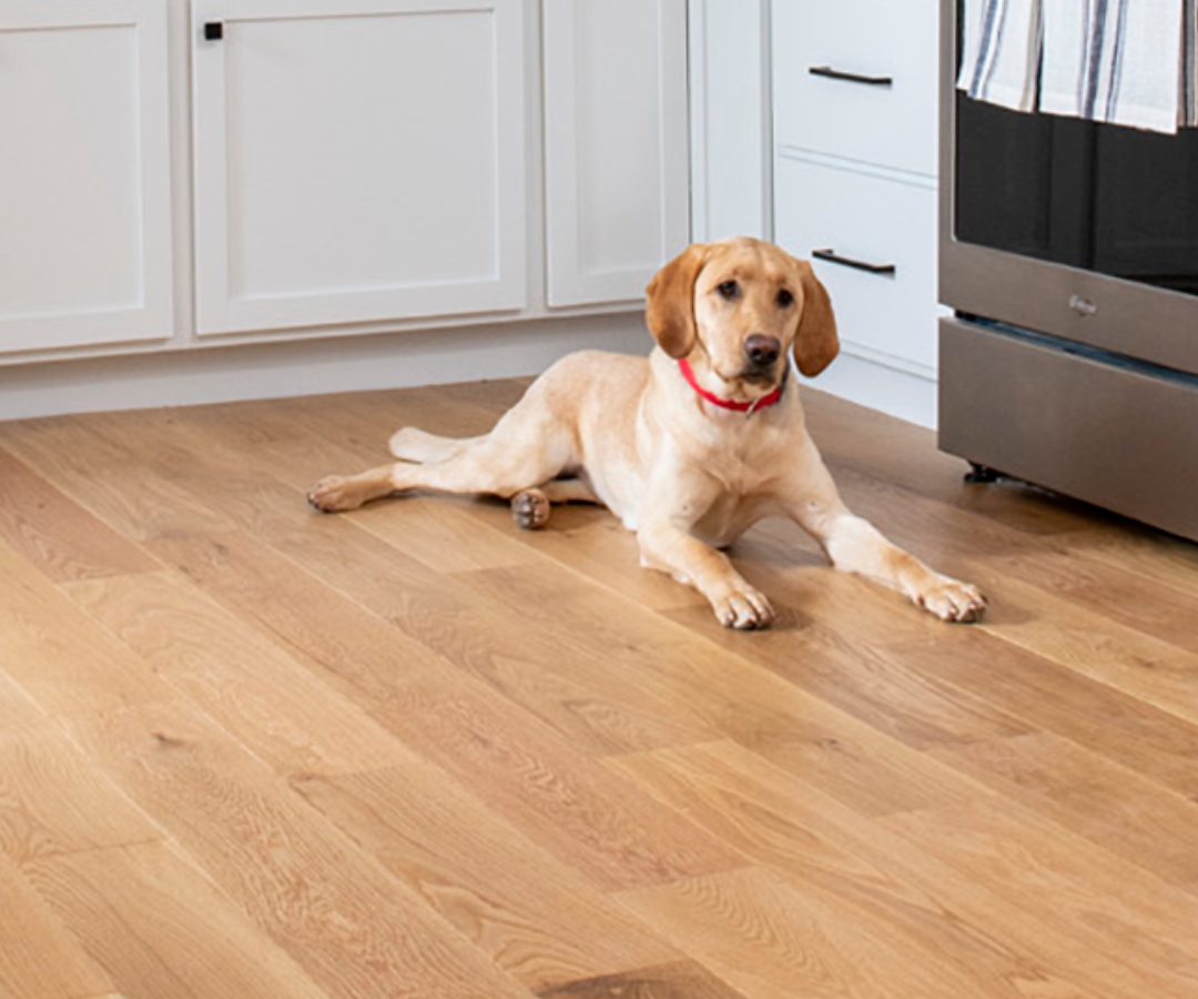 Dogwood Hardwood Flooring